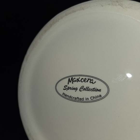 Maxcera Spring Collection Pitcher - Picture 4 of 4